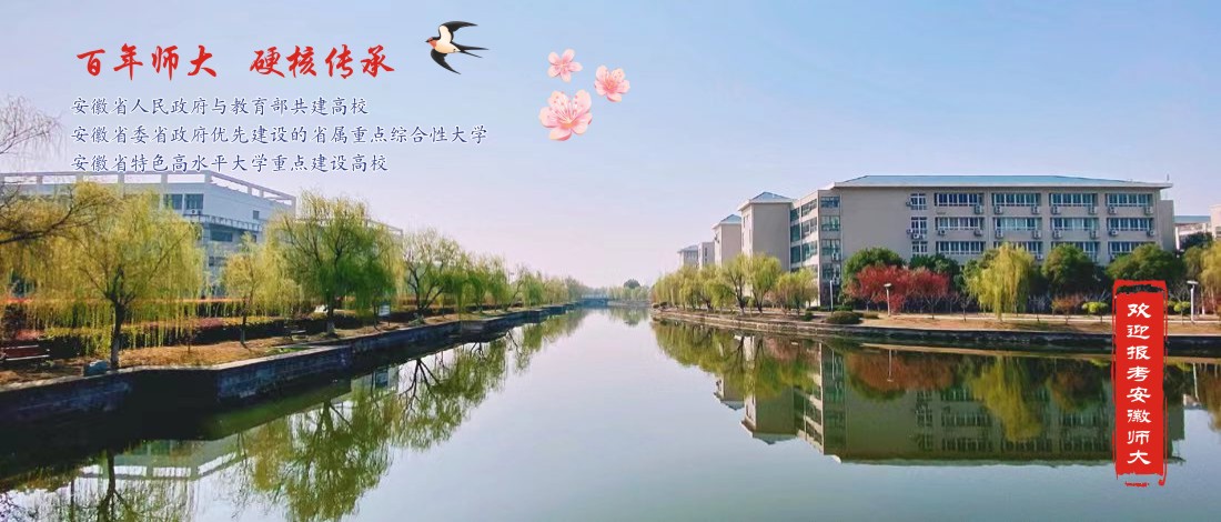 深入探究双吗啉基二乙基醚（CAS 6425-39-4）在聚氨酯复合材料中的创新应用