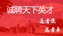 6000分子量聚醚在制备聚氨酯胶黏剂和灌封材料中的应用与技术分析