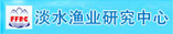 高性能聚氨酯泡沫催化剂：双吗啉基二乙基醚（CAS 6425-39-4）的作用机理